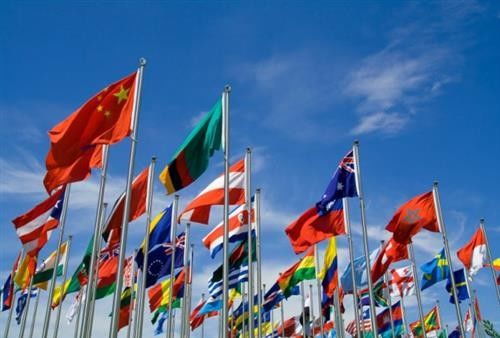 날실 테이블 덮개를 위한 뜨개질을 하는 관례에 의하여 인쇄되는 직물 100%년 폴리에스테 물자