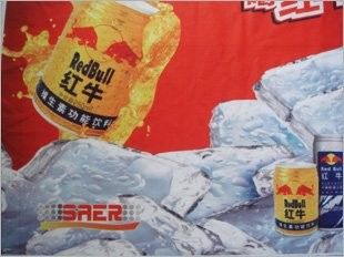 차 깃발을 위한 실내 380V 큰 체재 디지털 방식으로 직물 인쇄기