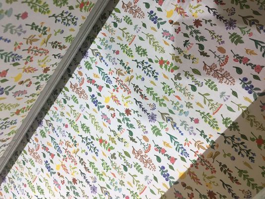 110V / 220V 자동적인 직물 인쇄 시스템/잉크 제트 직물 인쇄기