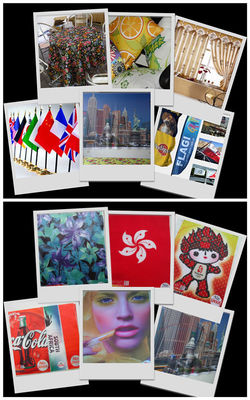 디지털 방식으로 인쇄 직물 승화 100%년 폴리에스테 날실 뜨개질을 하는 직물을 지시하십시오